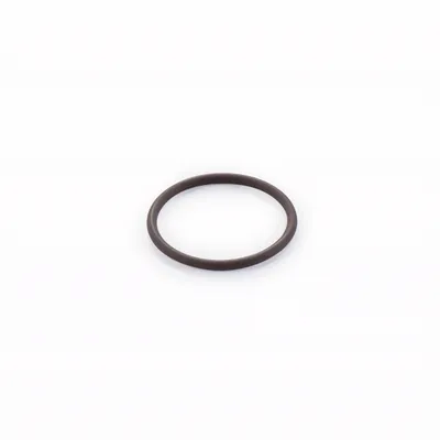 Graco ProX21 Packing O-Ring (Graco photo)