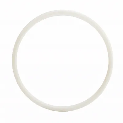 Graco Pro210ES Packing O-ring (Graco photo)
