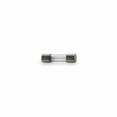 Graco Replacement Fuse (Graco photo)