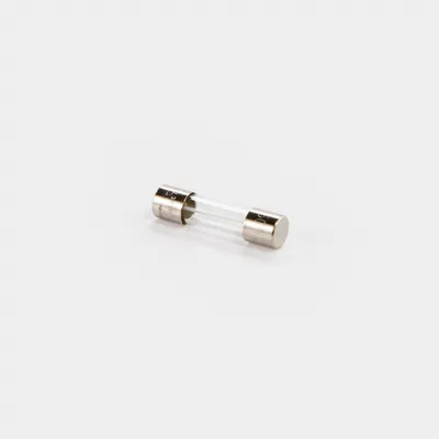 Graco Pro210ES Replacement Fuse (Graco photo)